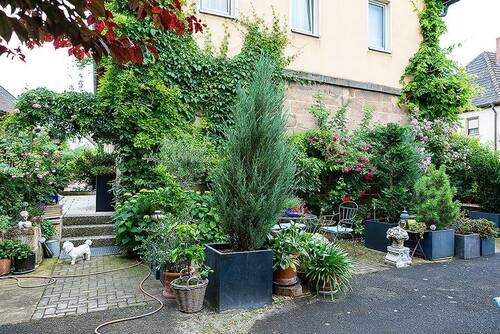 Bild 8 - 