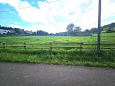 20240807_170212.jpg - Grundstück zum Kaufen in Merzkirchen