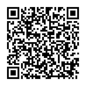 QR-Code - 