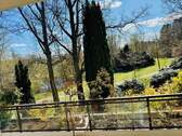 Blick in den Park - 