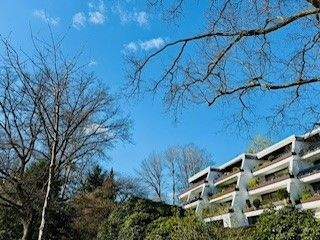 Park - 