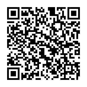 QR-Code - 