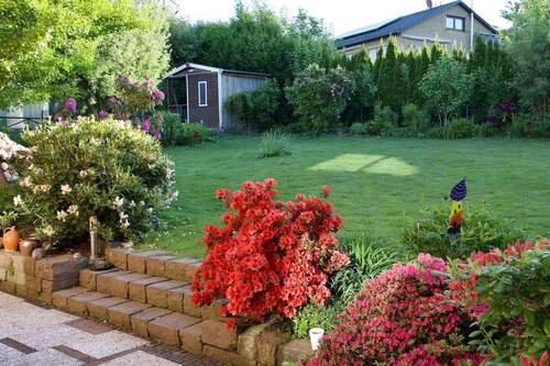 Gartenimpressionen Sommer (4).jpg - 