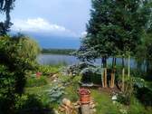 Garten (Blick zum See) - 4 Zimmer Einfamilienhaus zum Kaufen in Bestensee