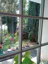Blick zum Garten (aus dem Haus) - 