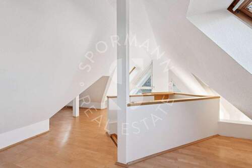 Dachspitz - 