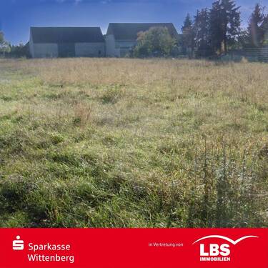 Straßensicht - Hier das richtige Grundstück in Grabo