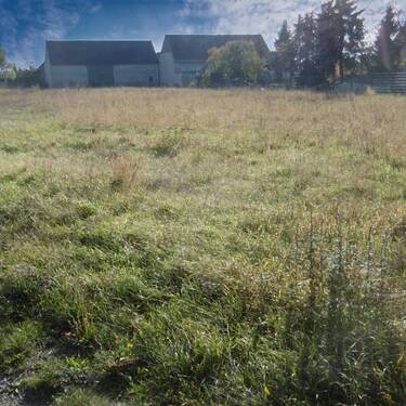 Straßensicht - Grundstück zum Kaufen in Jessen