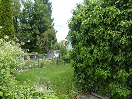 Natur in der Stadt - 
