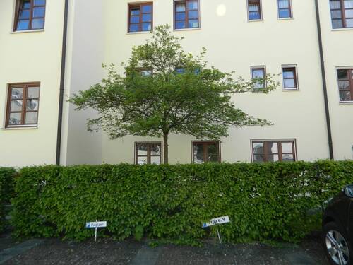 Ansicht Haus - 