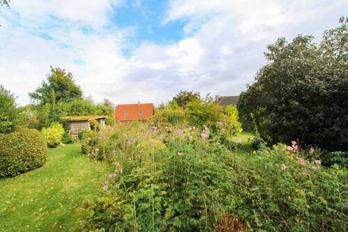 mit Liebe und Fachkunde gestalteter Garten - 