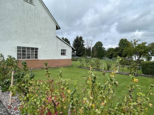 Bild 7 - 