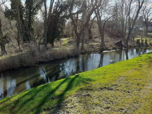 Am Ochsengraben.jpg - 