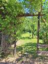 eigener Garten - 