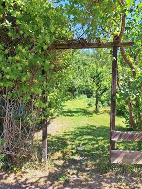 eigener Garten - 