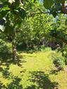 Schrebergarten - 