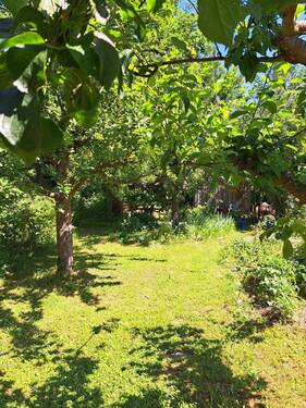 Schrebergarten - 