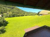 Aussicht.jpg - Einfamilienhaus mit 182,00 m² in Elzach zum Kaufen