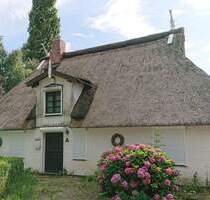 Direkt an der Elbe! Schöne Reetdachkate am Elbdeich! - Brokdorf