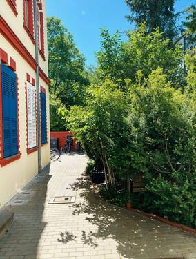Hinterhof - 