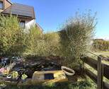 Garten ll - 