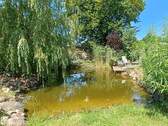 Gartenteich - 