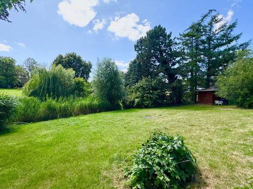 Ausblick ins Grüne - 