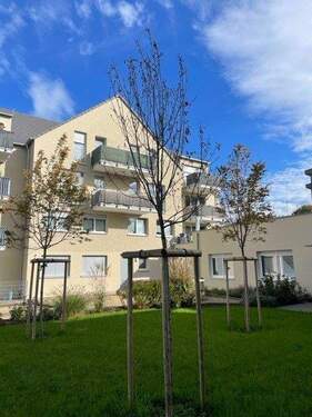 Außenbild5.jpg - 3 Zimmer Etagenwohnung in Gengenbach