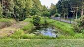 Teich auf dem Grundstück - 