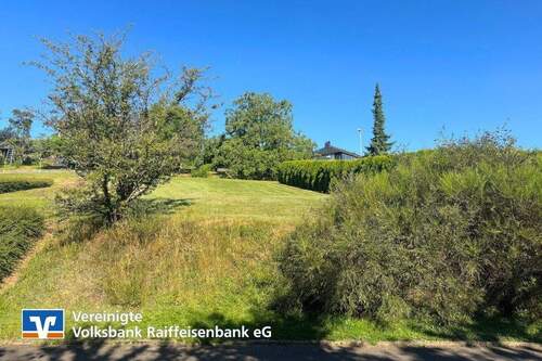 Immobilien-Angebot in Bleckhausen - Baugrundstück in naturnaher Lage - Nähe Manderscheid