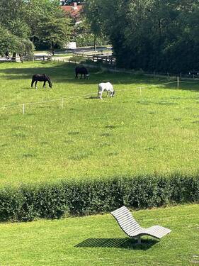 Ausblick vom Balkon.jpg - 