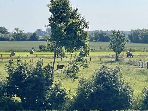 Ausblick.jpg - 