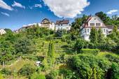 Ausblick nach Osten - 