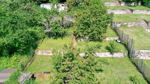 Garten - 