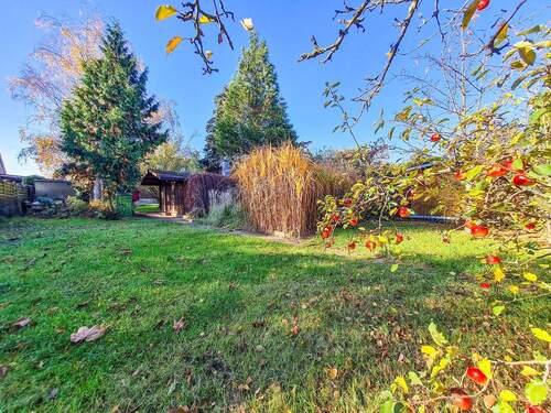 Blick vom hinteren Grundstück - 