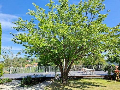 Gemeinschaftsgarten und -terrasse.jpg - 2 Zimmer Etagenwohnung zum Kaufen in Schönberg