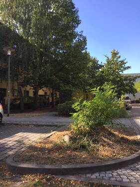 Umgebung - Vermietete 2 Zimmer Wohnung mit Südbalkon - nahe Universität