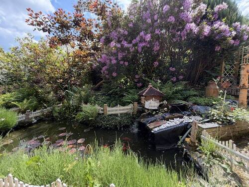 Gartenteich - 