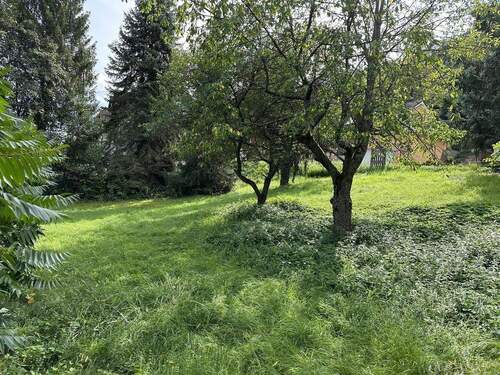 Bild 4 - Grundstück in Idar-Oberstein zum Kaufen