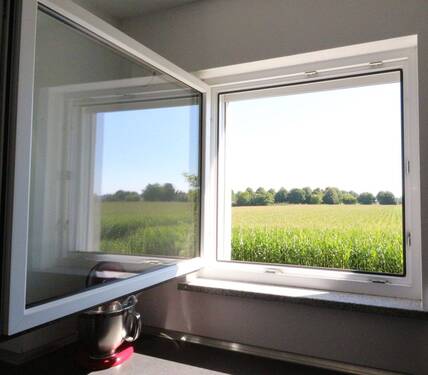 Blick in die Natur - 