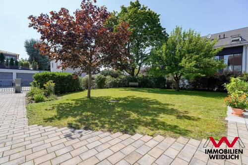 Blick in den Garten - 