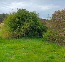 Ihr Traumgrundstück in Karnocice 4a - Perfekt für Wohn- oder Ferienhäuser