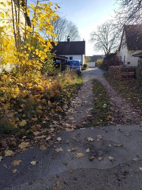 Zufahrt zum Haus - 6 Zimmer Einfamilienhaus in Aichkirchen