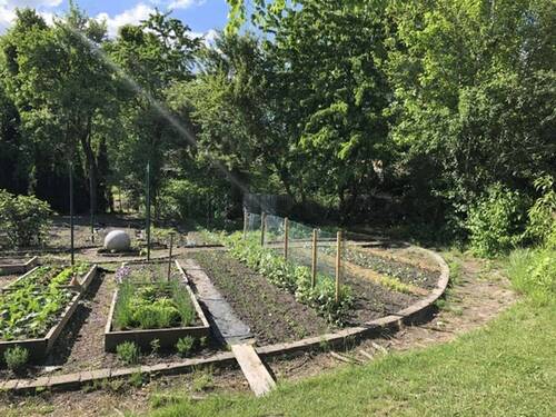 Garten Gemüsekreis (1) - 