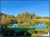 Gartenteich - 