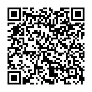 QR-Code - 