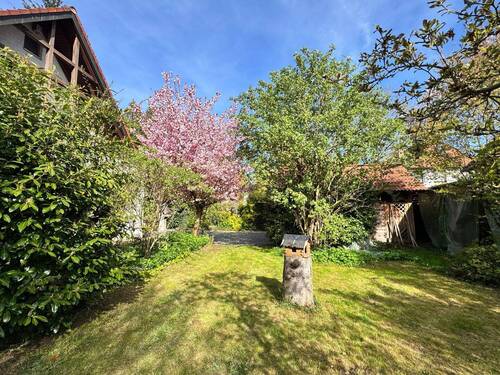 Garten vorne & Hof - 