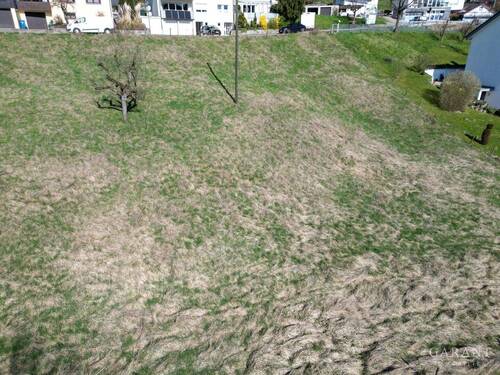 dji fly 20250405 104504 745 1743843079756 photo - 