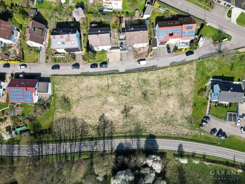 dji fly 20250405 104714 752 1743843077821 photo - 