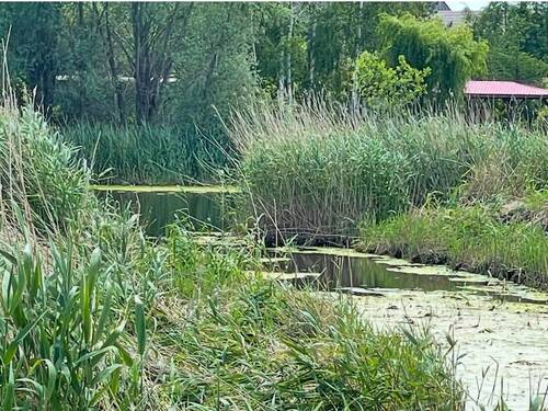 Graben am Grundstück - Grundstück zum Kaufen in Miedzywodzie